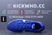Godkiller Zoom Kobe 6 Protro Dodgers_photo_2025-04-17_18-05-12